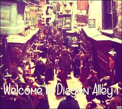 Drago révèle à Harry que ce sont ses parents qui s'occupent de lui acheter ses principales fournitures scolaires. En effet, ce n'est jamais lui qui les achète. Pendant qu'il attendait tranquillement, que faisait Mrs Malefoy ? Elle lui achetait...