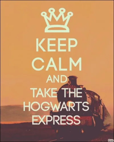 Le 1er septembre, Drago embarque à bord du Poudlard Express. Dans le train, il entend parler d'un sorcier du nom de Harry Potter. Il s'en va vérifier avec ses deux nouveaux amis. Voulant prendre les friandises de ce dernier, quel élève Croûtard va-t-il mordre ?