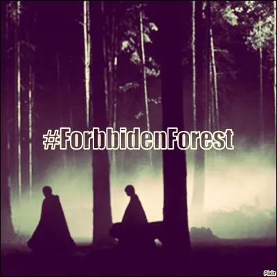 En 1992, le 26 mai pour être plus précise, Drago se retrouve contre son gré à faire une retenue. Celle-ci consiste à accompagner Hagrid pour trouver une licorne blessée. Trois autres élèves ont eu la même retenue. Mais lesquels ?