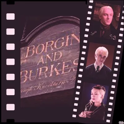 Une nouvelle année scolaire commence pour notre cher Drago. Comme tous les ans, il doit se rendre sur le Chemin de Traverse pour acheter de nouveaux livres. Mais avant cela, il se rend chez Barjow et Beurk. Qui l'accompagne ?