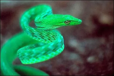 Cette photo est truquée.