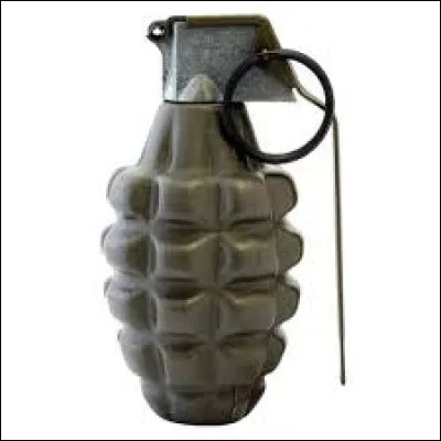 Quel est ce type de grenade ?