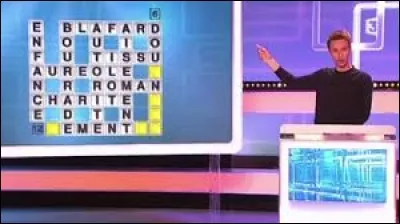 Quel anglicisme désigne à la fois un jeu télévisé et de la poésie moderne ?