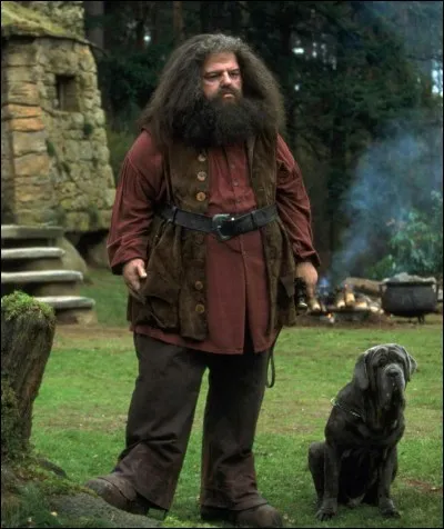 Quel sort Hagrid lance-t-il à Dudley ?