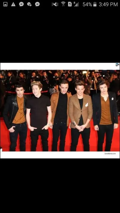 Qui aime les chats ?