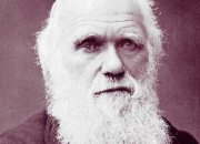 Quiz 16 anecdotes croustillantes sur Darwin (2)