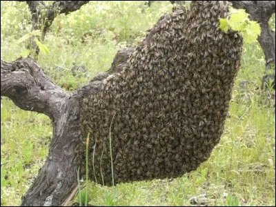 Part refaire sa vie ailleurs.