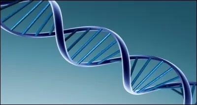 Part d'h&eacute;ritage.