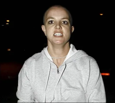 Le 19 février 2007, Britney Spears s'et coupée les cheveux, cela a provoqué un grand buzz.