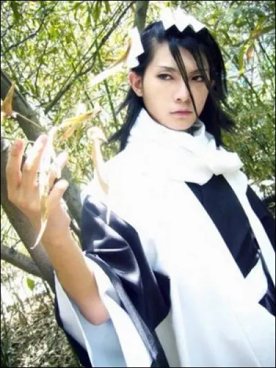 Capitaine de la sixième division et frère de Rukia...