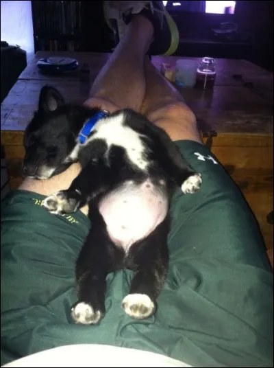 En tout cas, j'esp&egrave;re que je n'aurai pas fait un lapsus calami dans ce quiz !