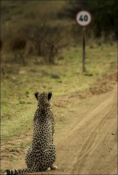 Durant ma p&eacute;riode scolaire, il m'est arriv&eacute; de me faire appeler Arthur !