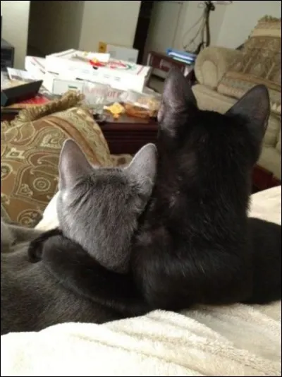 Et d'&ecirc;tre bon comme la romaine !