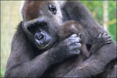 Faire une entourloupette !