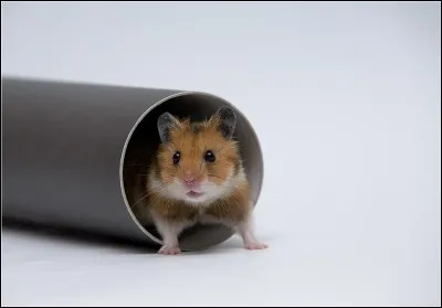 Prenons les choses &agrave; l'envers : atteindre ses limites !