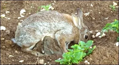 Vendeur ou marchand : En conna&icirc;tre un rayon !