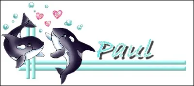 J'en fais patauger plus d'un dans la semoule ! Je suis Paul...