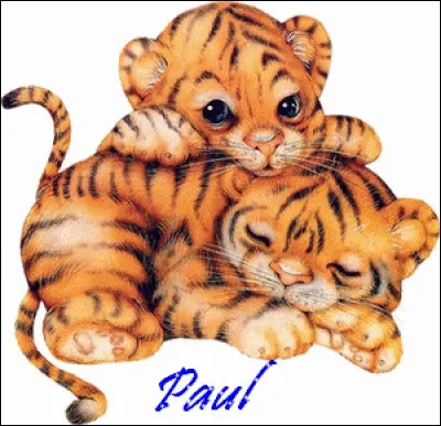 Vous voulez ma photo ? Oui ! c'est moi ! Paul...