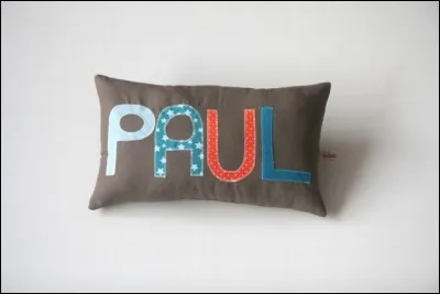 On ne pouvait pas finir le quiz sans parler de moi et de mes célèbres batailles ! Je suis Paul :