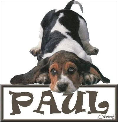 Je regarde sous les jupes des filles ! Je suis Paul...