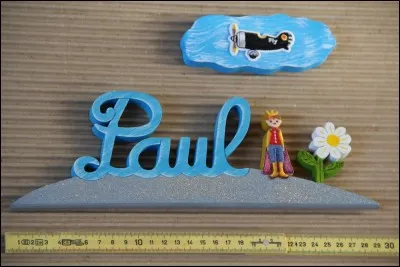 Quant à moi, je sais tout faire ! Je suis Paul...