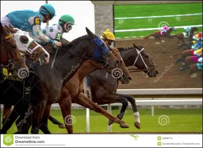 Lequel de ces chevaux va franchir la ligne d'arrivée le premier ?