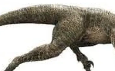 Quiz Dinosaures