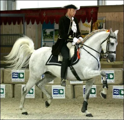 Comment s'appelle la figure de dressage ci-dessus ?