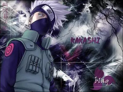 Que signifie Kakashi en franais ?