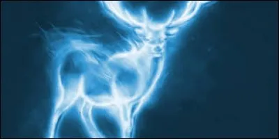 Que représente le patronus d'Harry Potter ?