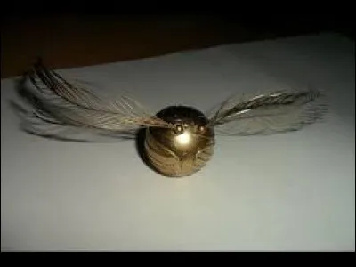 Comment s'appelle la balle magique qu'il faut attraper lors d'une partie de Quidditch ?