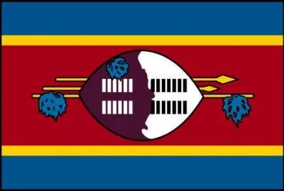 A quel pays appartient ce drapeau ?