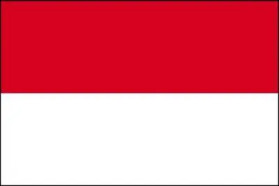 A quel pays appartient ce drapeau ?