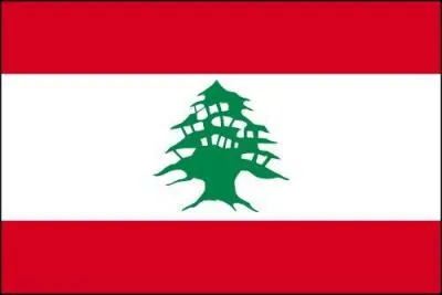 A quel pays appartient ce drapeau ?