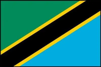 A quel pays appartient ce drapeau ?