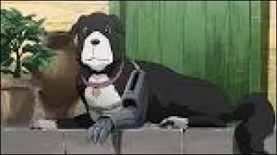 Quel est le nom de ce personnage ?