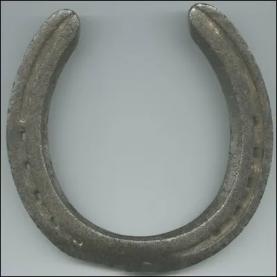 Les Romains ont inventé une pièce de métal recouvrant la corne et remontant en partie sur le sabot, maintenue par des lacets de cuir. Il est mentionné que l'empereur Néron faisait ferrer ses chevaux de fers d'argent, et sa femme Poppée ses mules d'or. Comment nommaient-on ce fer a cheval ?