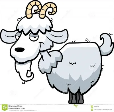 Quel est le sport préféré des chèvres ?