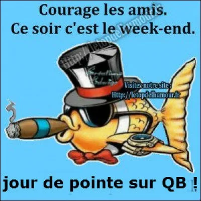 Mais devant notre insistance, il faudra bien qu'il se...