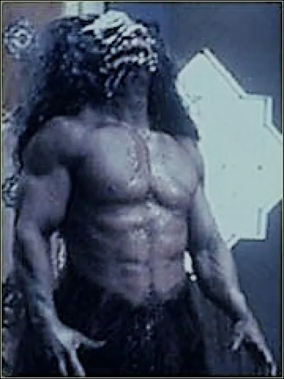 Guerriers ne redoutant pas la mort dans la fiction Star-Trek. Qui sont-ils ?