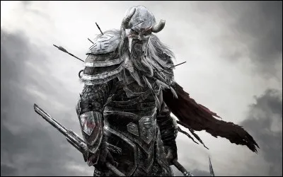 Les guerriers Vikings se faisant un point d'honneur de mourir au combat afin de rejoindre leur paradis. Quelle est-il ?