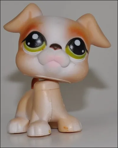 Quelle est cette race ?