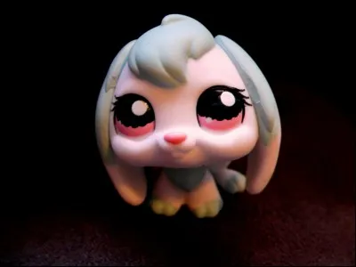 Quelle est cette race de lapin ?