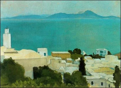Qui a représenté Sidi Bou ?