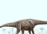 Quiz Argentinosaurus huinculensis
