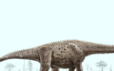 Quiz Dinosaures