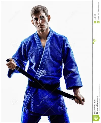 Comment s'appelle la fédération française de judo ?