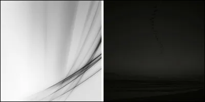 Au "Dames", les pions blancs sont placés sur les cases noires et les pions noirs sont placés sur les cases blanches.