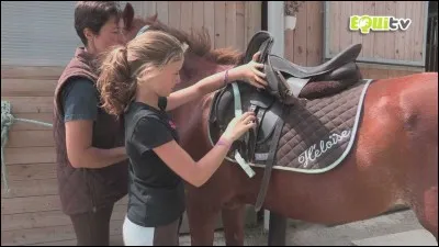 Dans quelle ordre arnache-t-on le cheval ?