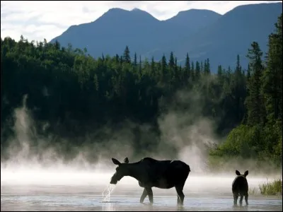 Choisissez le bon pays, par rapport à la photo !